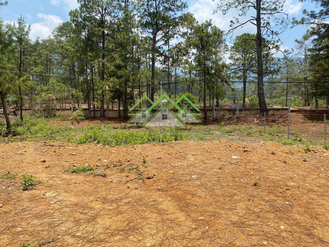 Se renta terreno en Valle de Ángeles