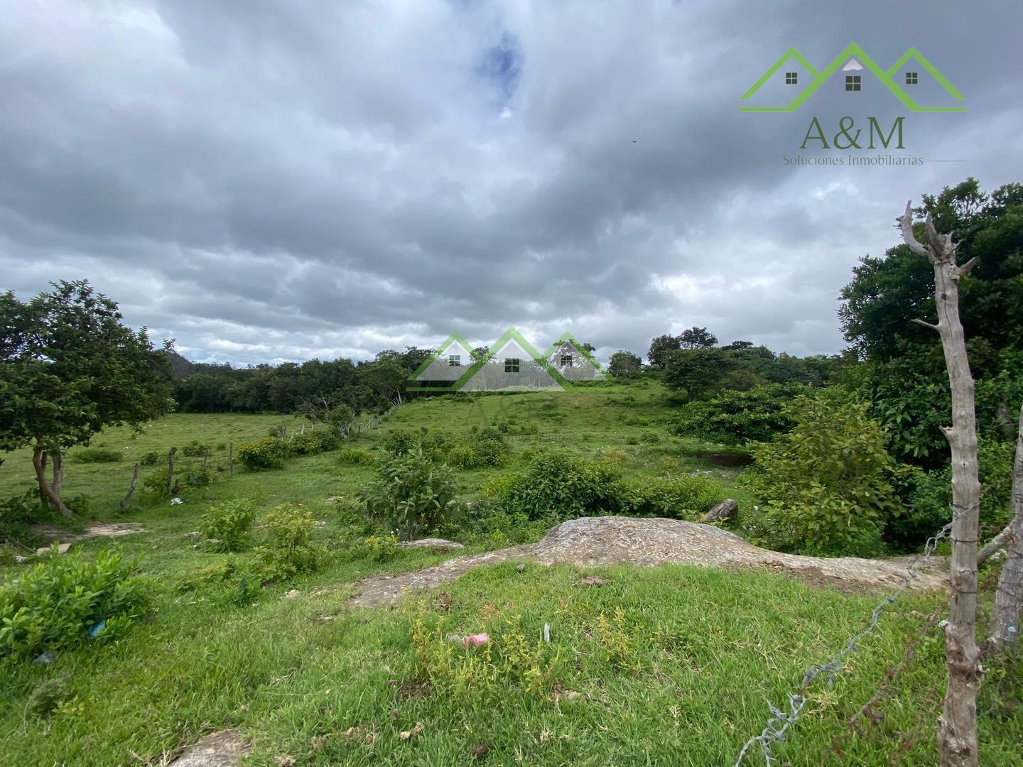 Terreno en Santa Ana, Francisco Morazán