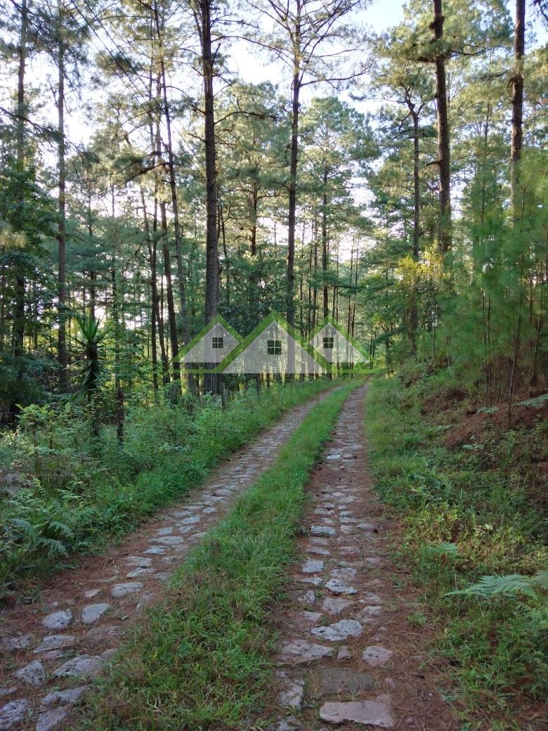 Terreno en venta en El Tablón- El Piligüin en circuito cerrado