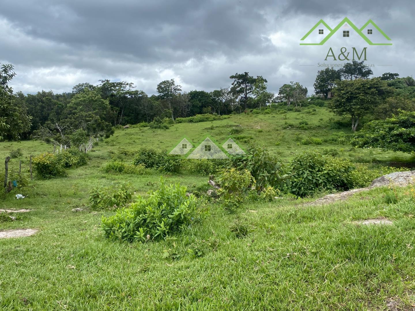 Terreno en Santa Ana, Francisco Morazán