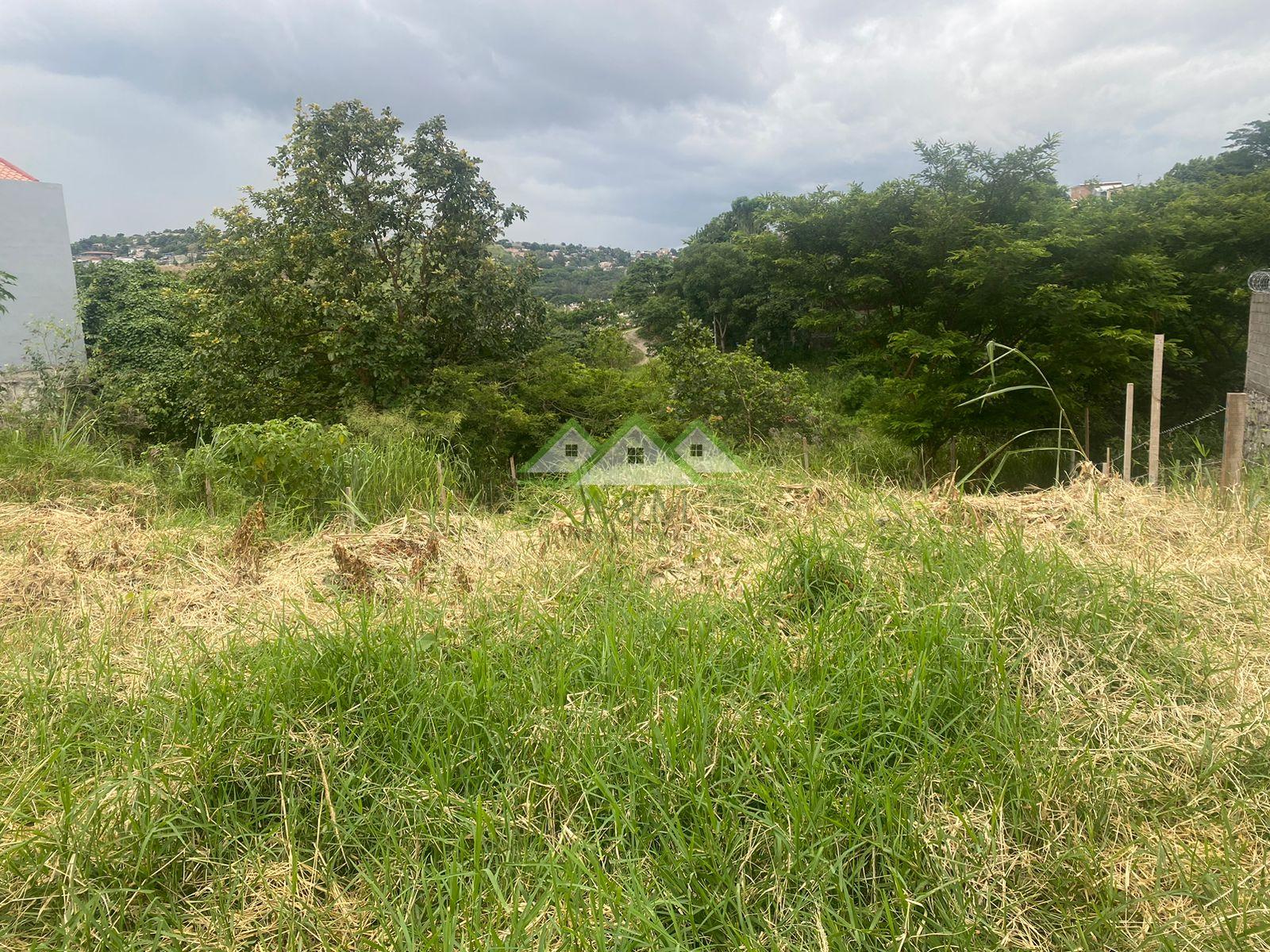 Terreno en Ciudad Nueva