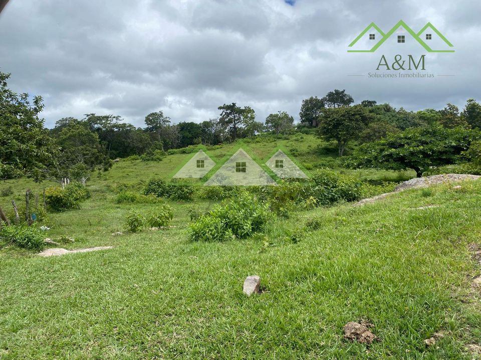 Terreno en Santa Ana, Francisco Morazán