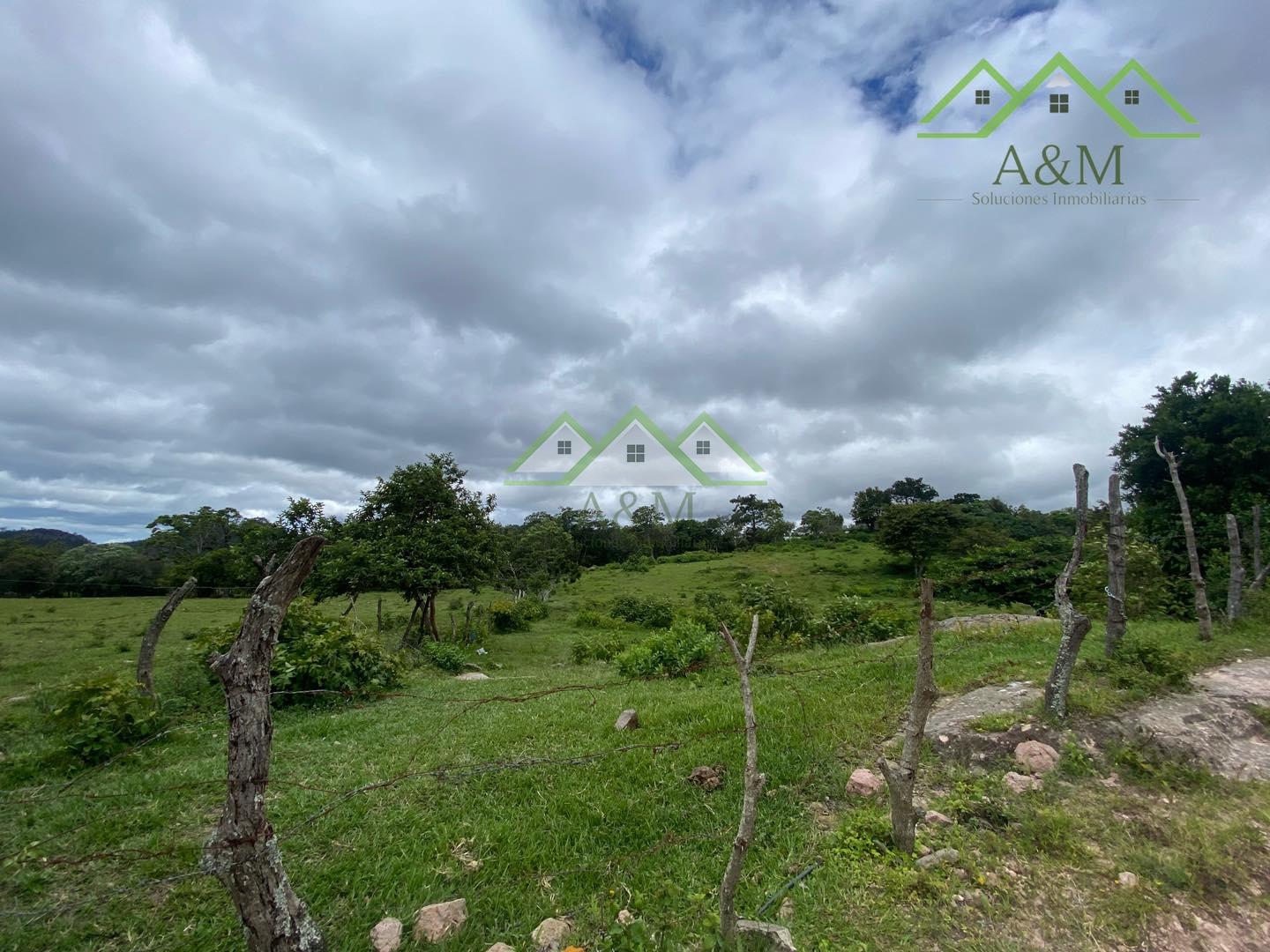 Terreno en Santa Ana, Francisco Morazán