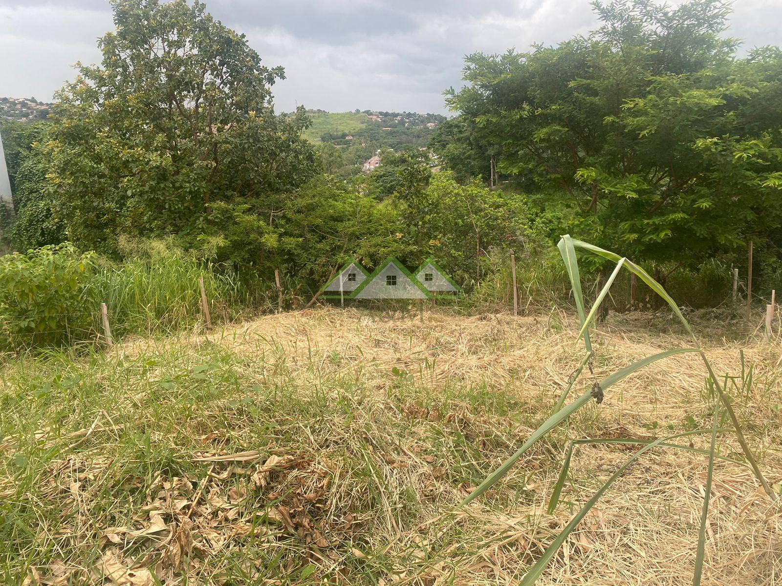 Terreno en Ciudad Nueva